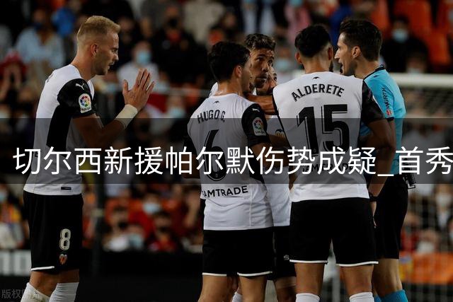 切尔西新援帕尔默伤势成疑 首秀对阵尤文恐难如愿